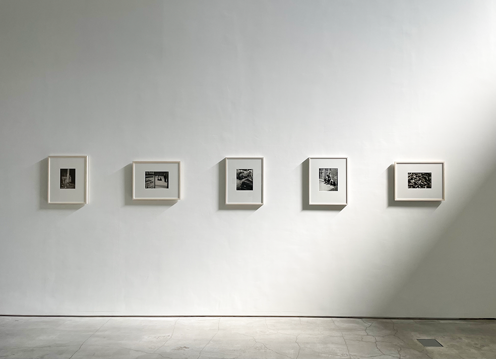 ネイサン・ラーナー