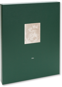 山口勝弘・大辻清司　APN