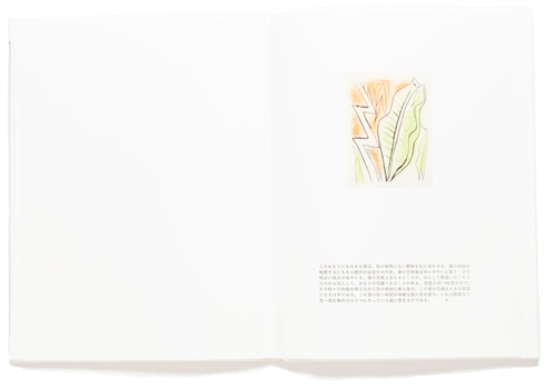 淀井彩子・若林奮　芭蕉