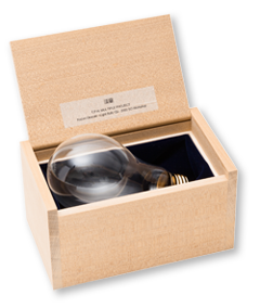 岡崎和郎　Light Bulb / Qi