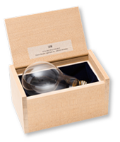 岡崎和郎　Light Bulb / Qi