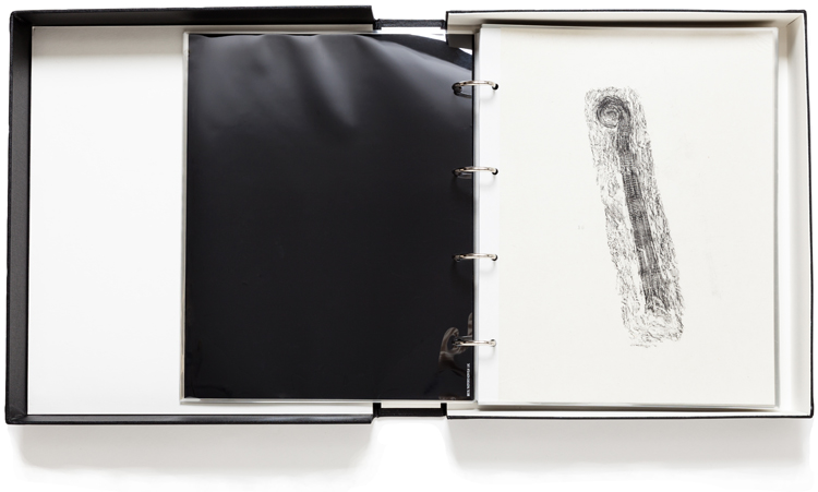 河口龍夫　関係－時間・時のフロッタージュ Relation-Time, Frottage of Time: Fossil