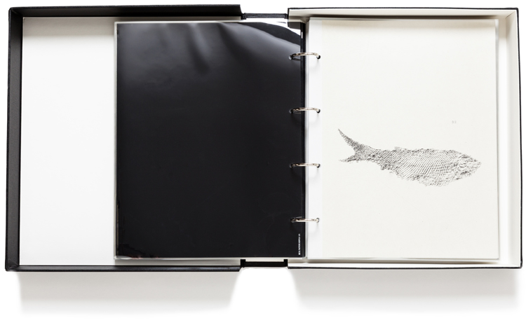 河口龍夫　関係－時間・時のフロッタージュ Relation-Time, Frottage of Time: Fossil