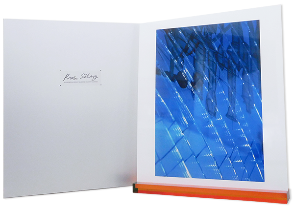 奈良原一高 Rrose Sélavy