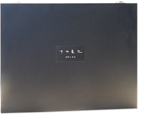 中西夏之　着陸と着水