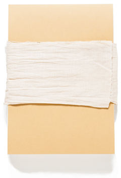 若林奮 ゆりの樹・枝